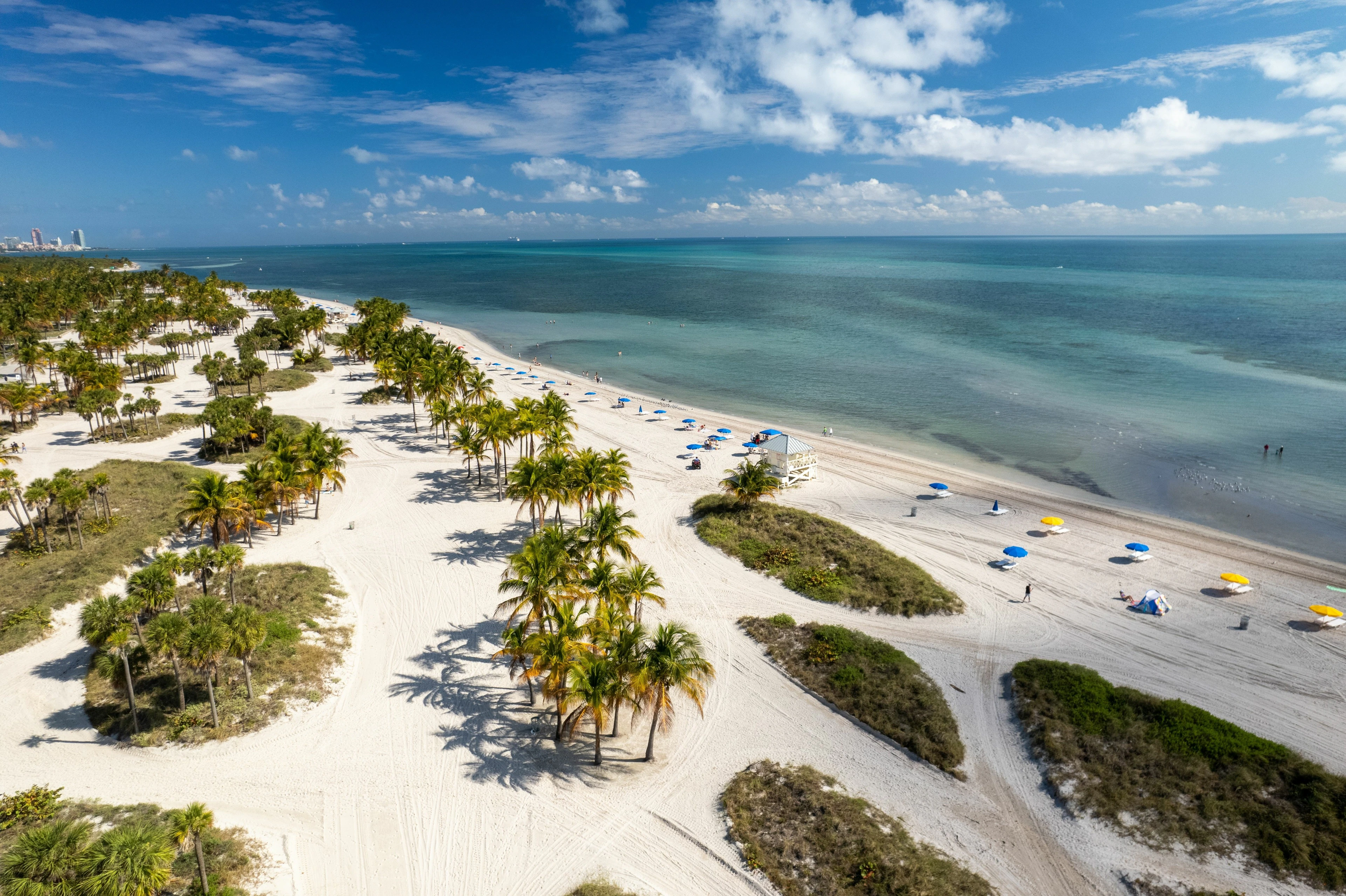 Imagem aérea do Crandon Park em Miami, mostrando uma praia com areia branca, águas azuis e claras, e várias palmeiras espalhadas pela área. Espreguiçadeiras e guarda-sóis coloridos estão dispostos ao longo da praia, proporcionando um ambiente convidativo e tranquilo, ideal para famílias aproveitarem um dia ao sol.