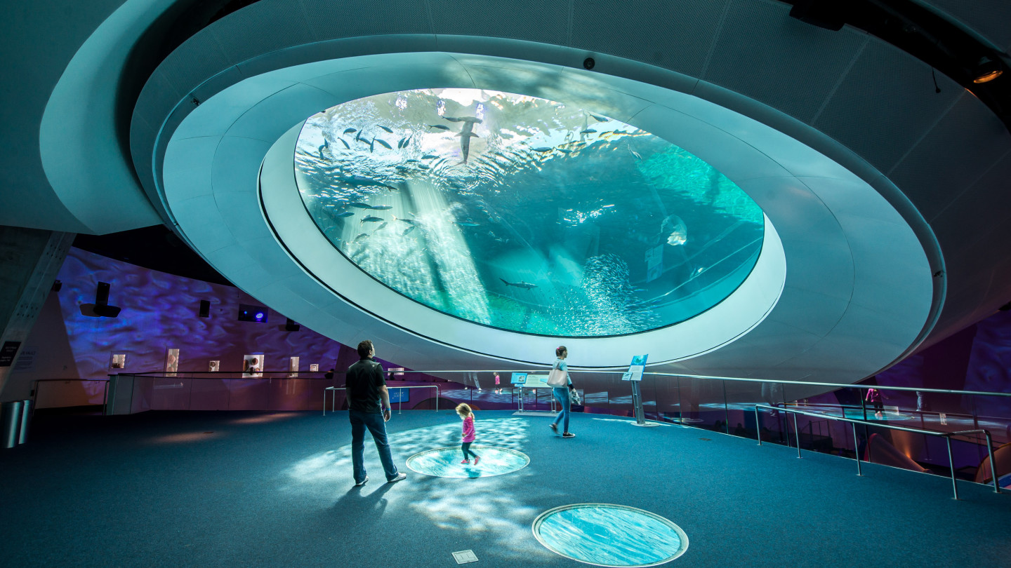  Interior do Frost Science Museum em Miami, mostrando visitantes admirando um enorme aquário suspenso. Uma criança e dois adultos olham para cima, observando os peixes e raios de luz que atravessam a água, criando um ambiente encantador e educativo. O aquário redondo proporciona uma visão imersiva da vida marinha, destacando a beleza do oceano.