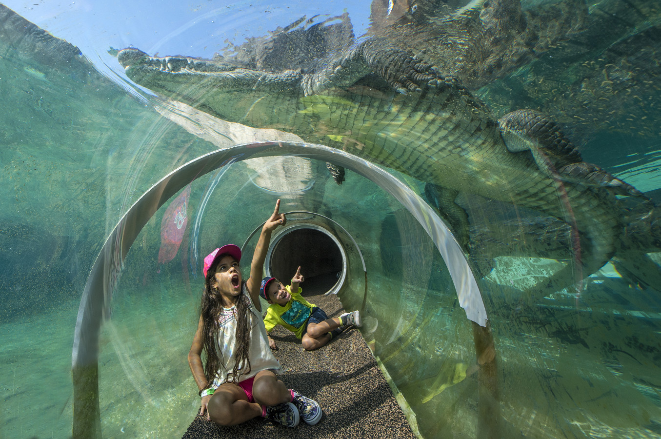 Duas crianças brincando em um túnel subaquático no Zoo Miami, empolgadas enquanto observam um crocodilo nadando acima delas. A expressão de surpresa e encantamento das crianças destaca o caráter interativo e envolvente da atração, que permite uma visão única da vida selvagem.